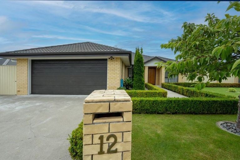 Photo of property in 12 Mckendry Street, Redwoodtown, Blenheim, 7201