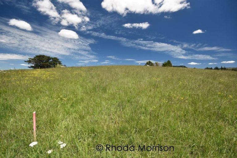 Photo of property in 47 Matahehe Lane, Tinopai, 0593