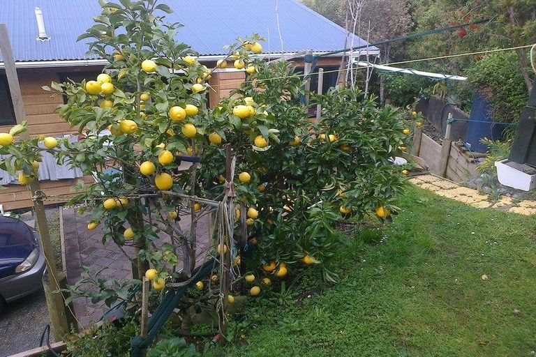 Photo of property in 150 Wyuna Bay Road, Wyuna Bay, Coromandel, 3581