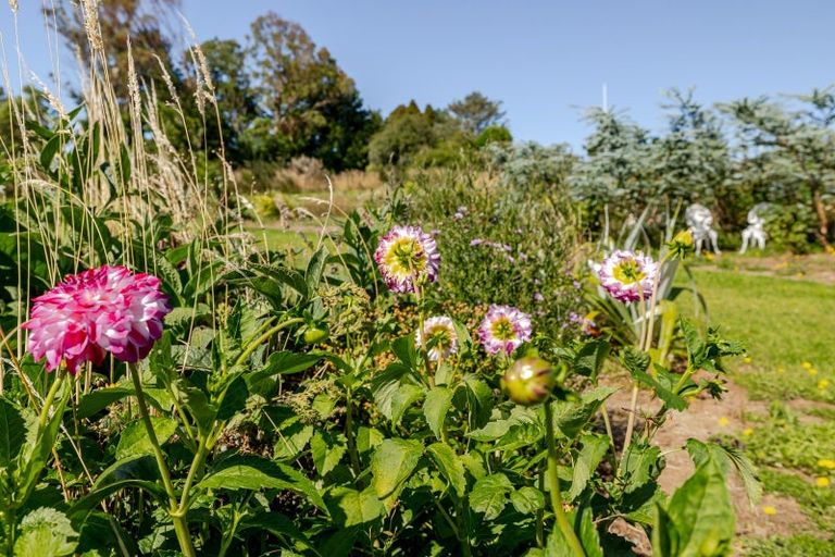 Photo of property in 77 High Street, Eketahuna, 4900