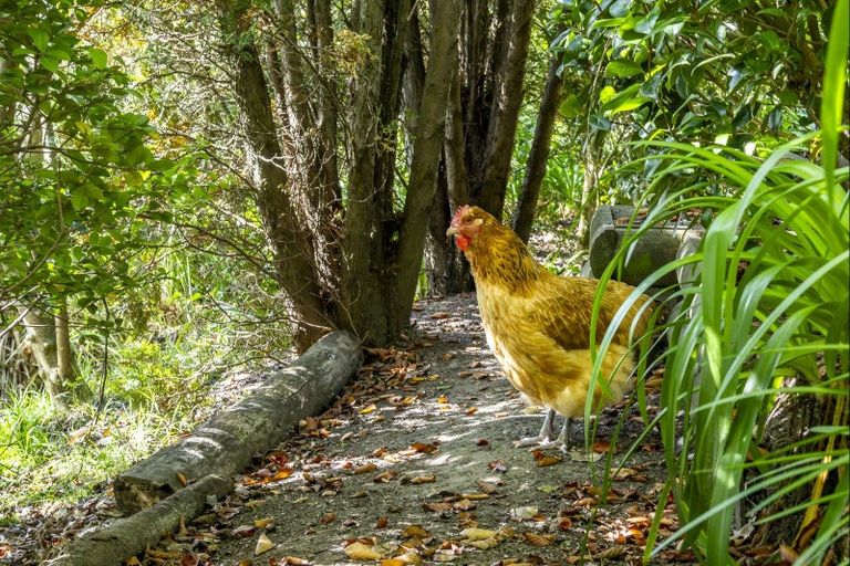 Photo of property in 74 Kaimata Road, Bay View, Napier, 4182