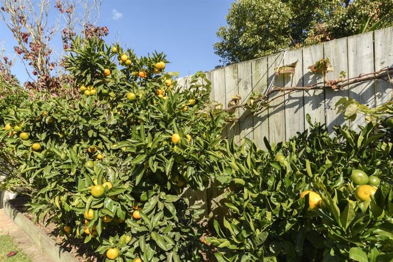 Photo of property in 126 Waihi Road, Judea, Tauranga, 3110