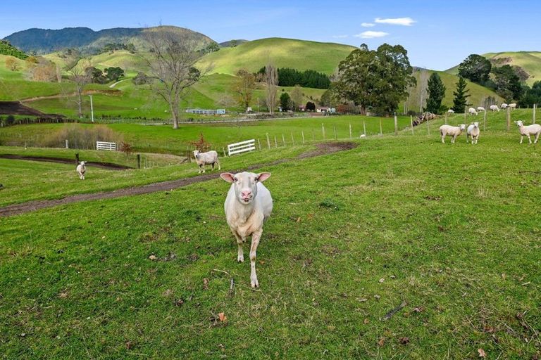 Photo of property in 410 Te Weta Road, Ngakuru, Rotorua, 3077