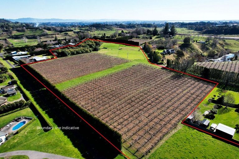 Photo of property in 36 Echo Valley Way, Tauriko, Tauranga, 3110