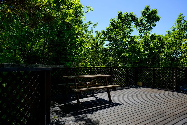 Photo of property in 80 Sutherland Street, Dunedin Central, Dunedin, 9016