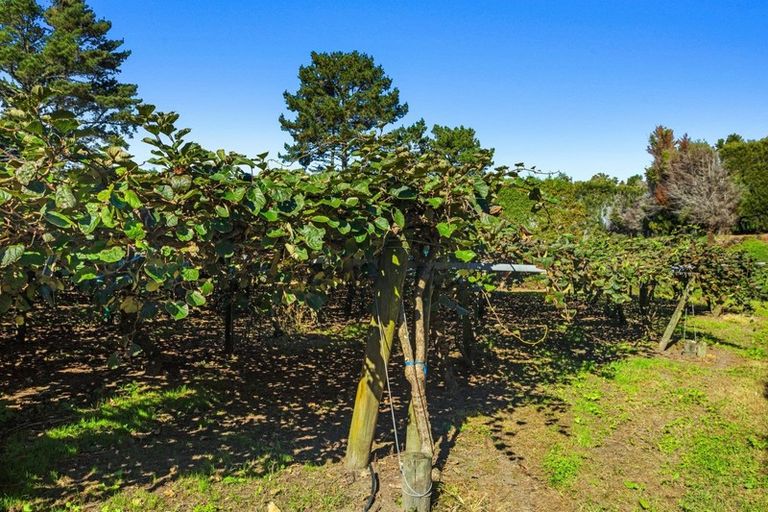 Photo of property in 31 Clark Cross Road, Otara, Opotiki, 3197