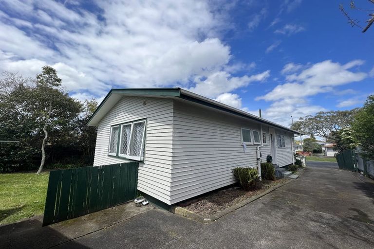 Photo of property in 56 Universal Drive, Henderson, Auckland, 0610
