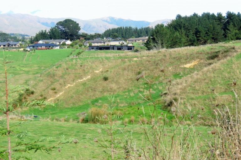 Photo of property in 91 Buckley Road, Shannon, Palmerston North, 4474