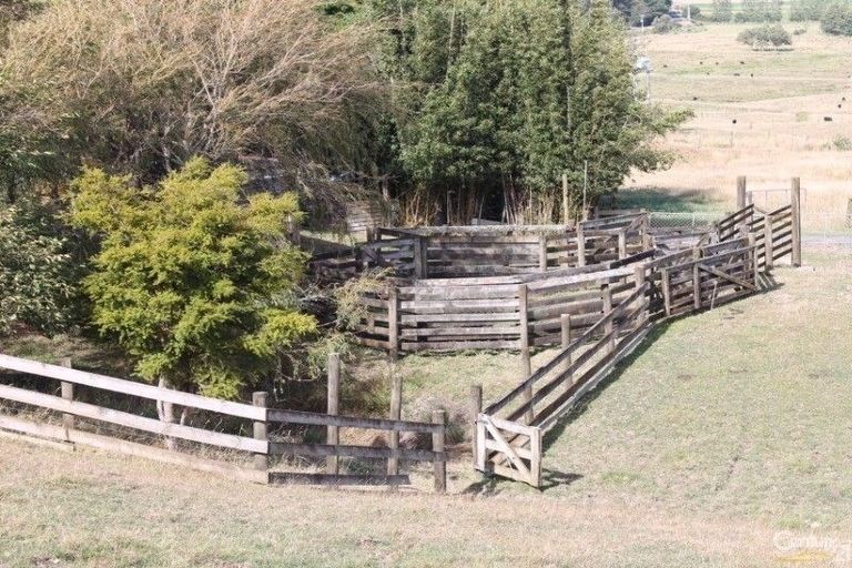 Photo of property in 509 Otuiti Road, Pukekawa, Tuakau, 2696