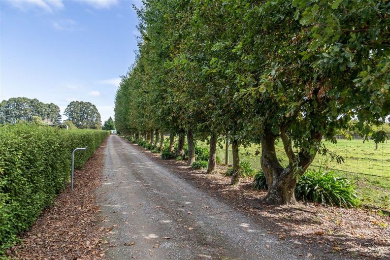 Photo of property in 313 Plaskett Road, Fernside, Rangiora, 7471