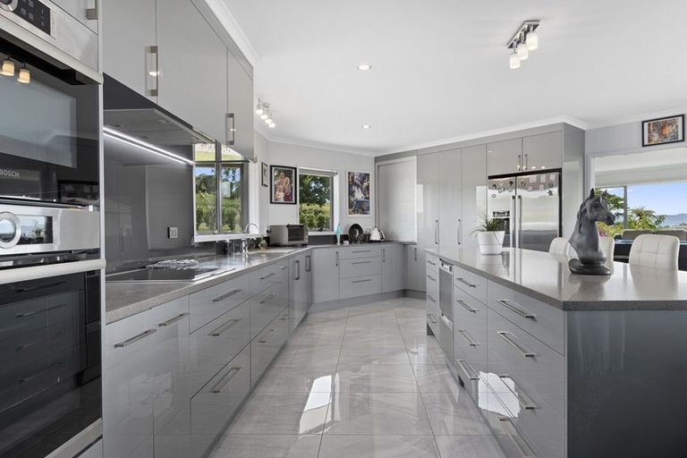 Photo of property in 515 Youngson Road, Whakamarama, Tauranga, 3179