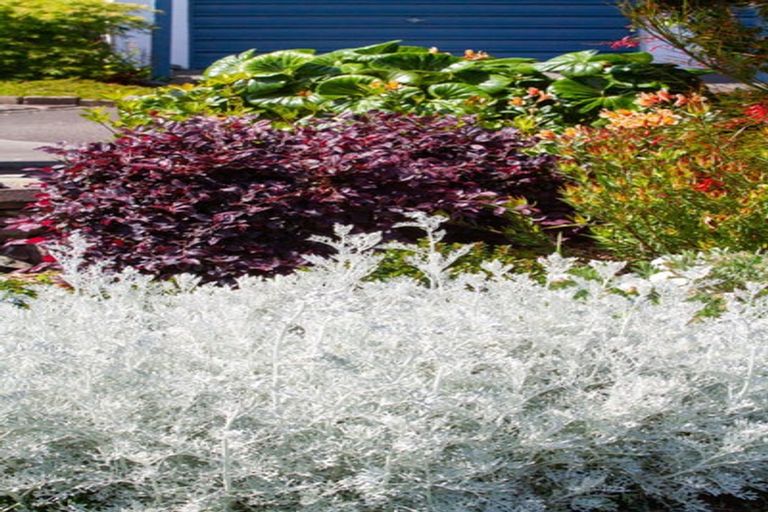 Photo of property in 9 Kaharoa Avenue, Omokoroa, 3114