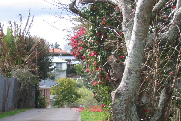 Photo of property in 102a Hynds Road, Gate Pa, Tauranga, 3112