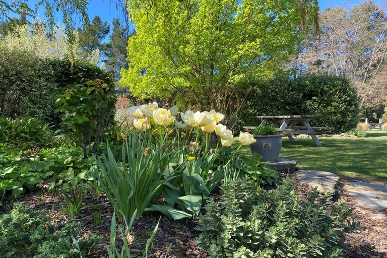 Photo of property in 599 Loop Road, Bendigo, Cromwell, 9383