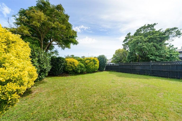 Photo of property in 42 Manson Street, Terrace End, Palmerston North, 4410