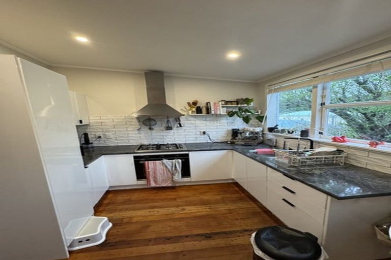Photo of property in 166 Daniell Street, Newtown, Wellington, 6021