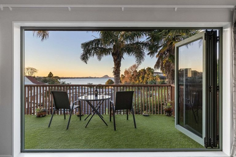Photo of property in 202 Maungatapu Road, Maungatapu, Tauranga, 3112