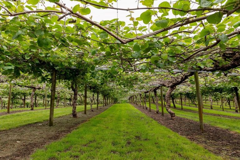 Photo of property in 29 Lemon Road, Paengaroa, Te Puke, 3189