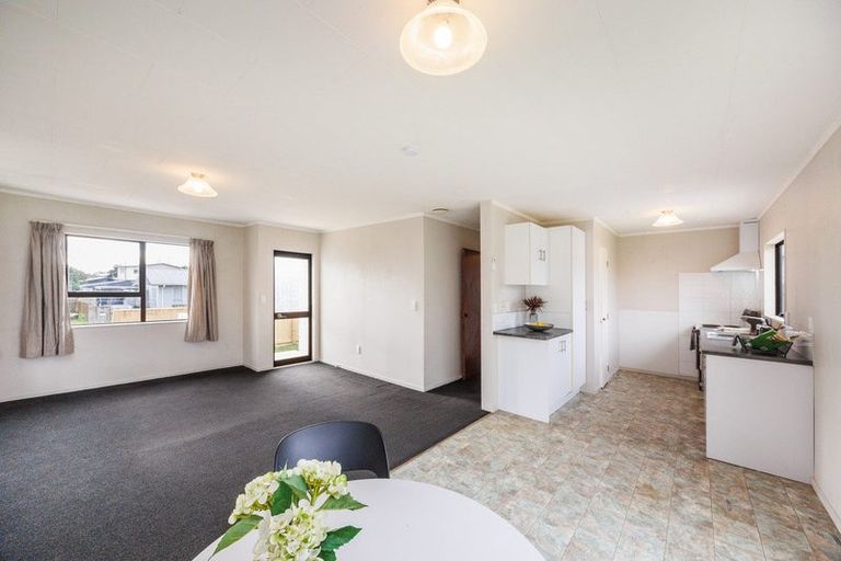Photo of property in 20a Tingey Avenue, Feilding, 4702