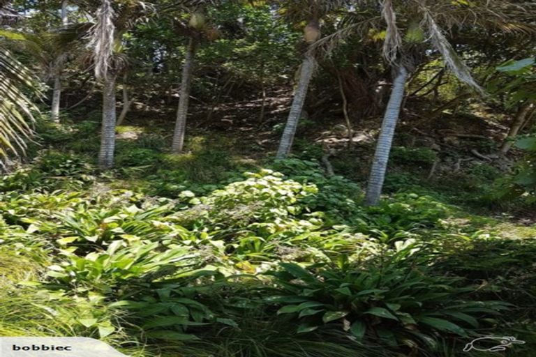 Photo of property in 54 Beach Valley Road, Piha, New Lynn, 0772