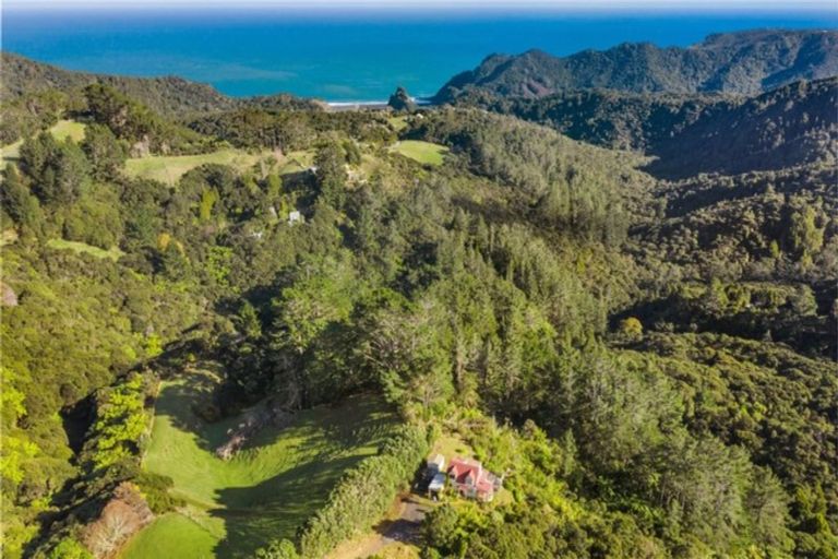 Photo of property in 156 Lone Kauri Road, Karekare, New Lynn, 0772