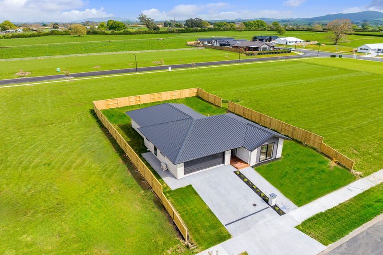 Photo of property in 39 Buxton Crescent, Matamata, 3400