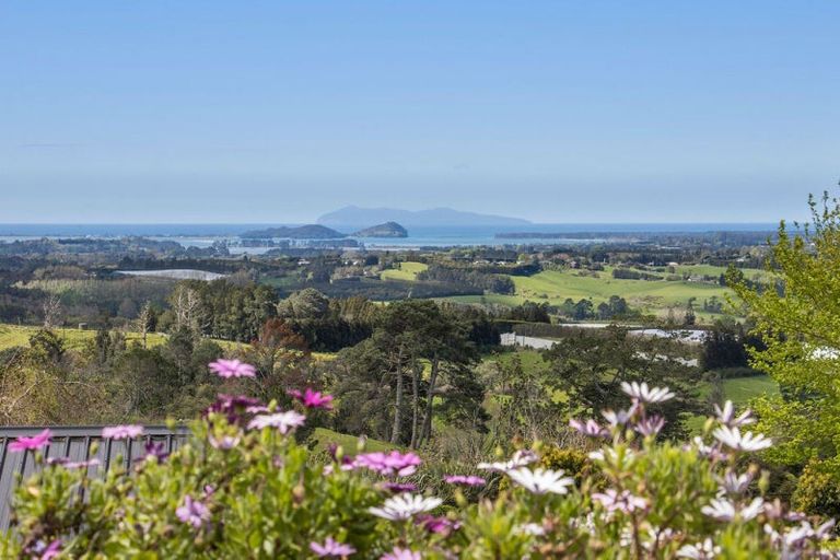 Photo of property in 320 Lindemann Road, Tahawai, Katikati, 3170