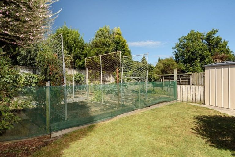 Photo of property in 7 Donelle Place, Te Puke, 3119