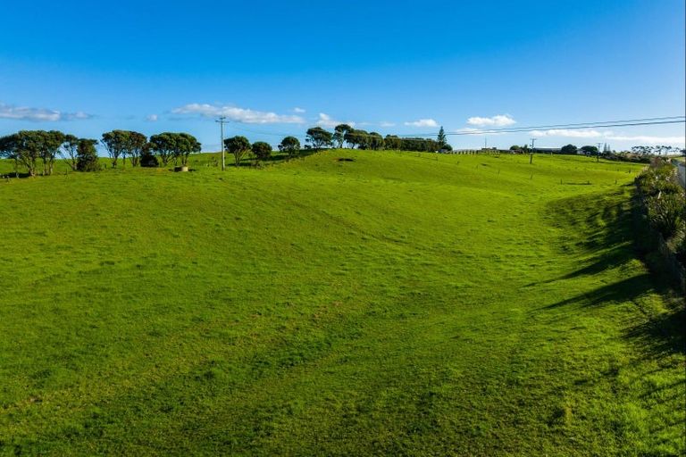 Photo of property in 1000 Redhill Road, Te Kopuru, Dargaville, 0371