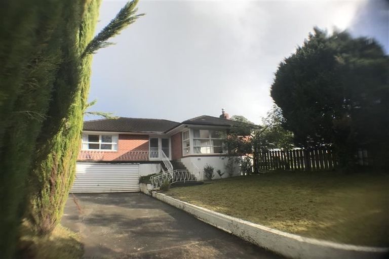 Photo of property in 116 Fred Taylor Drive, Westgate, Auckland, 0814