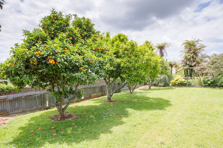 Photo of property in 240 Saint Marys Avenue, Te Awamutu, 3800