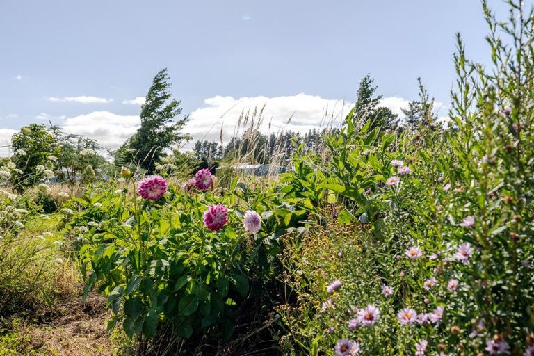 Photo of property in 77 High Street, Eketahuna, 4900