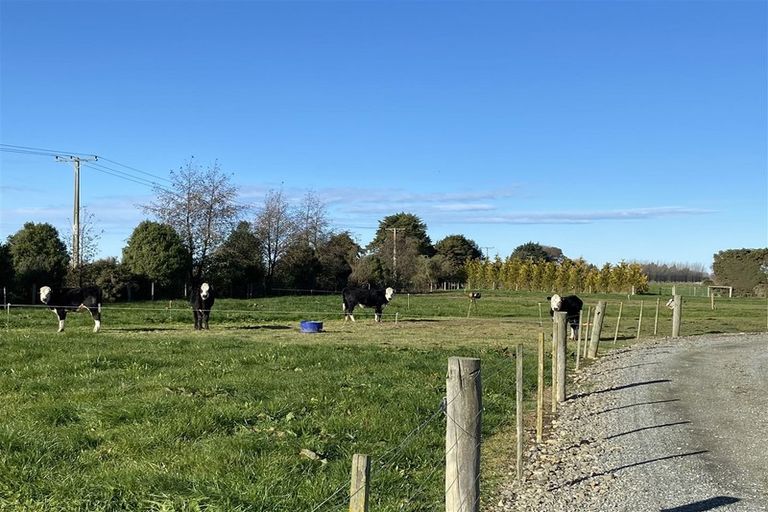Photo of property in 251 Middleswamp Road, Milford, Temuka, 7986