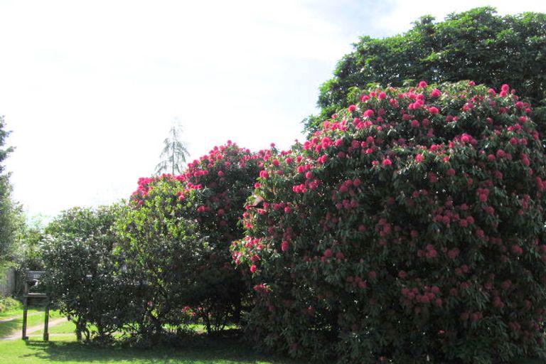 Photo of property in 13 Upland Road, Western Heights, Rotorua, 3015