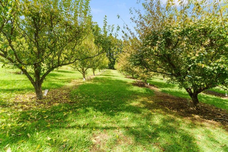 Photo of property in 664 State Highway 2, Tahawai, Katikati, 3170