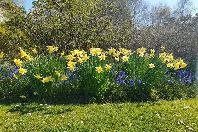 Photo of property in 86b Beach Street, Waikouaiti, 9510