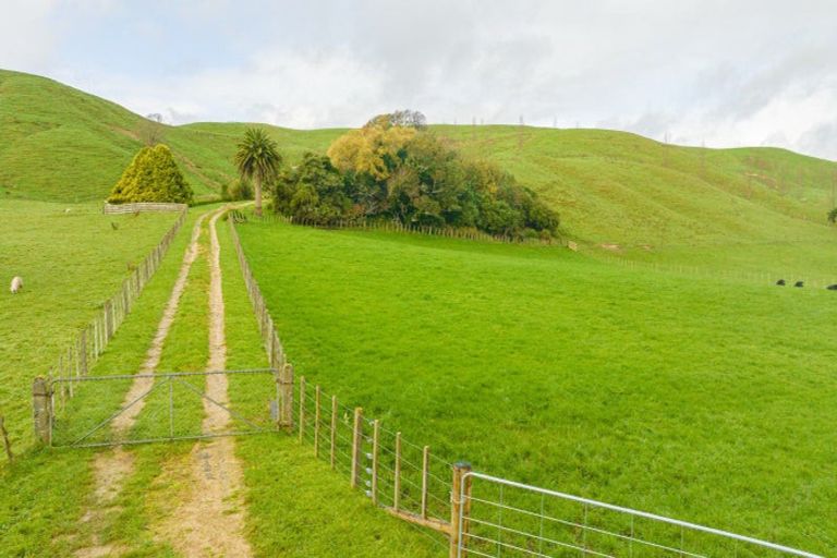 Photo of property in 447 Hinemoa Valley Road, Kaitawa, Pahiatua, 4981