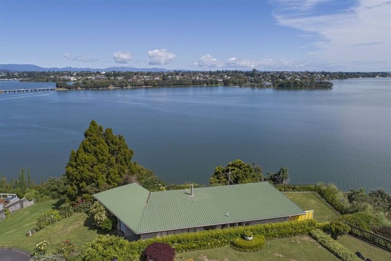 Photo of property in 43 Vine Avenue, Maungatapu, Tauranga, 3112