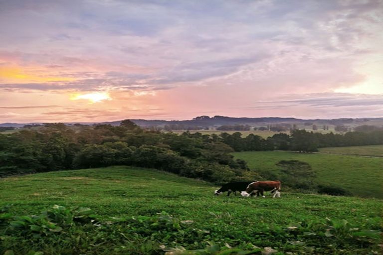 Photo of property in 584b State Highway 3, Waitomo, Te Kuiti, 3977