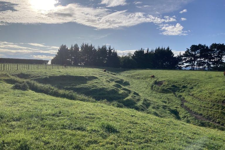 Photo of property in 192 Cole Road, Rongotea, Palmerston North, 4476