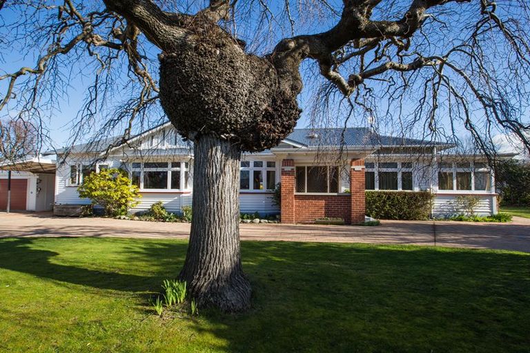 Photo of property in 5 Coradine Street, Masterton, 5810