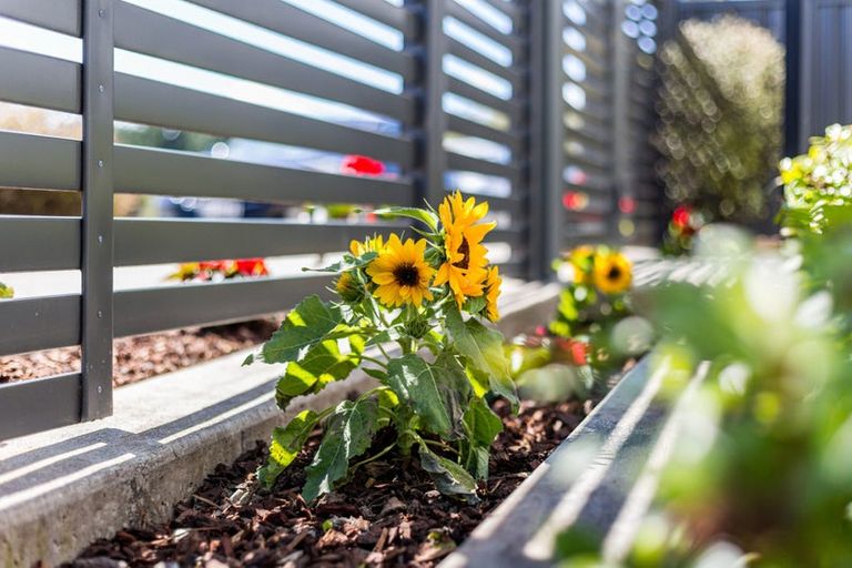 Photo of property in 9 Karearea Avenue, Kenepuru, Porirua, 5022