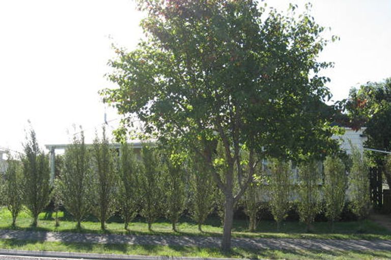 Photo of property in 59 Selwyn Street, Leeston, 7632