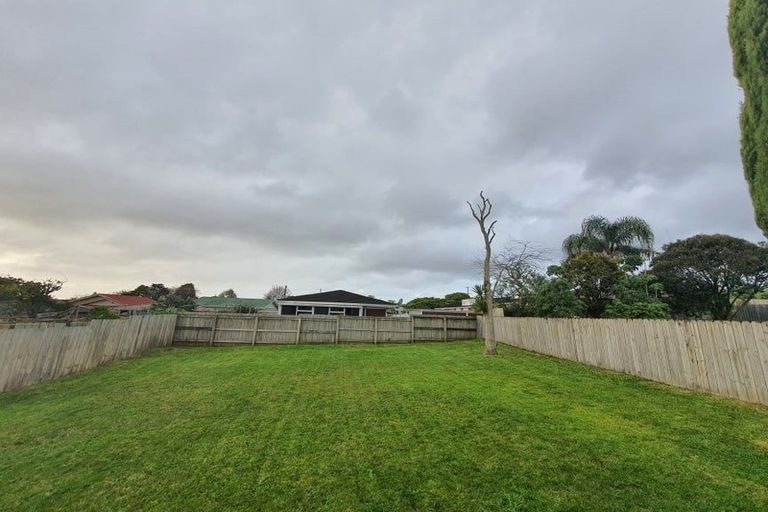 Photo of property in 9 Hinau Street, New Lynn, Auckland, 0600