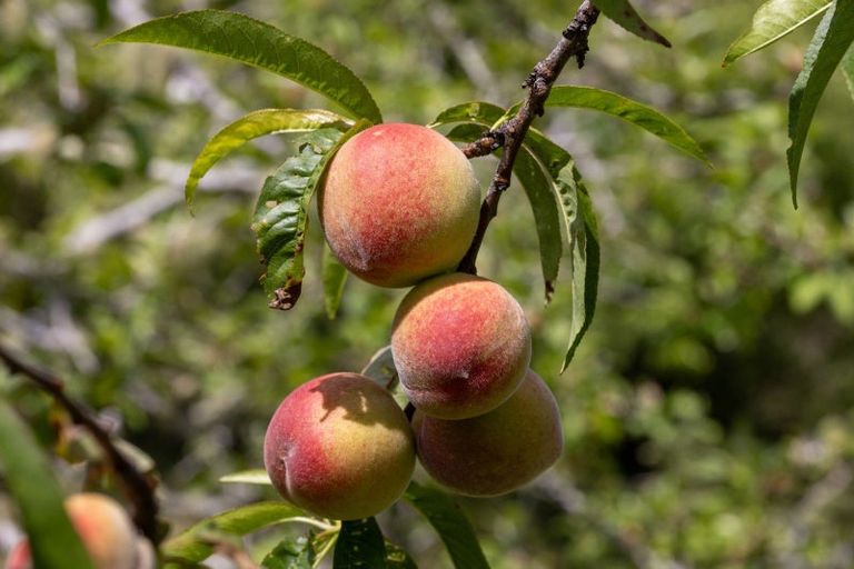 Photo of property in 954 Pakiri Road, Pakiri, Wellsford, 0972