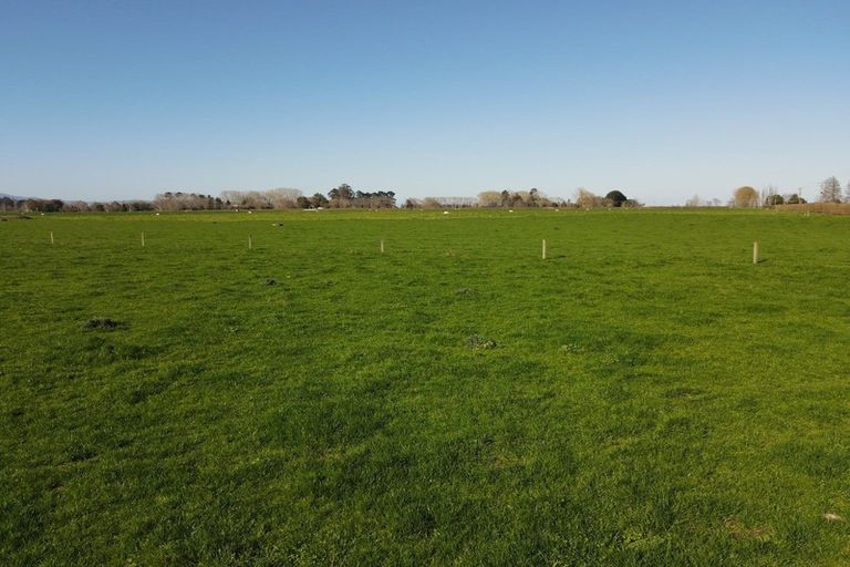 Photo of property in 91 Goodwin Road, Ohaupo, Cambridge, 3495