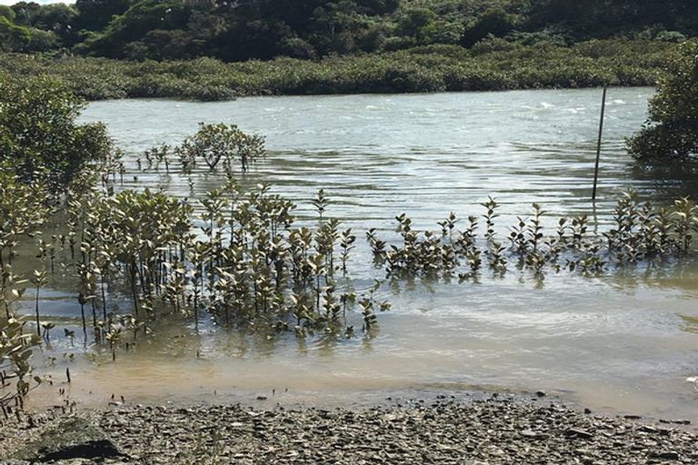 Photo of property in 17 Clarks Lane, Hobsonville, Auckland, 0618