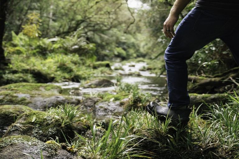 Photo of property in 9e Mcquade Road, Whakamarama, Tauranga, 3179