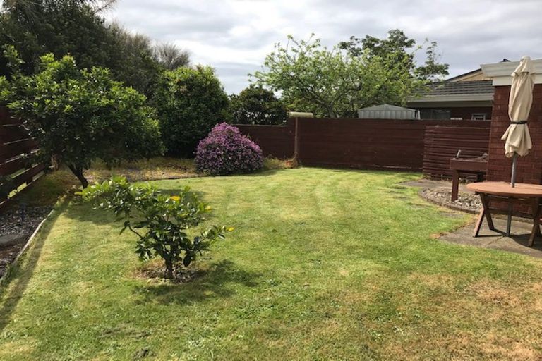 Photo of property in 40 Waitui Grove, Mount Maunganui, 3116