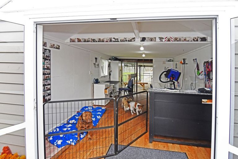 Photo of property in 123 Cole Street, Masterton, 5810